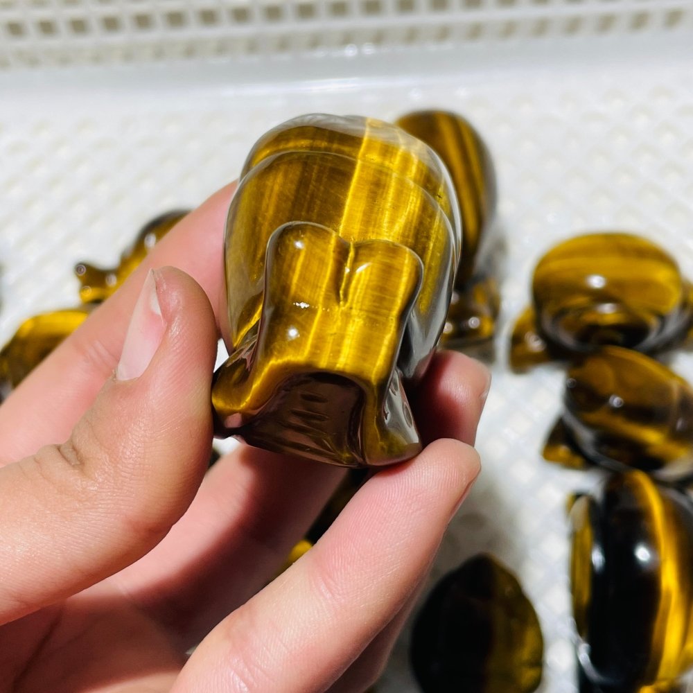 16 Pieces High Quality Tiger Eye Snails Carving -Wholesale Crystals