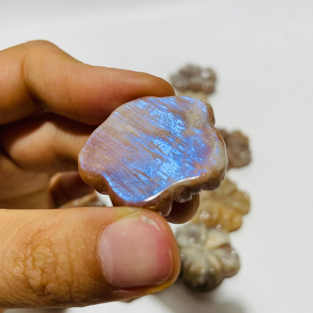 21 Pieces Beautiful Moonstone Mixed Sunstone Flower Carving -Wholesale Crystals