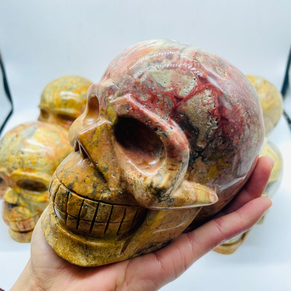 6 Pieces Crazy Agate Large Skull Carving -Wholesale Crystals