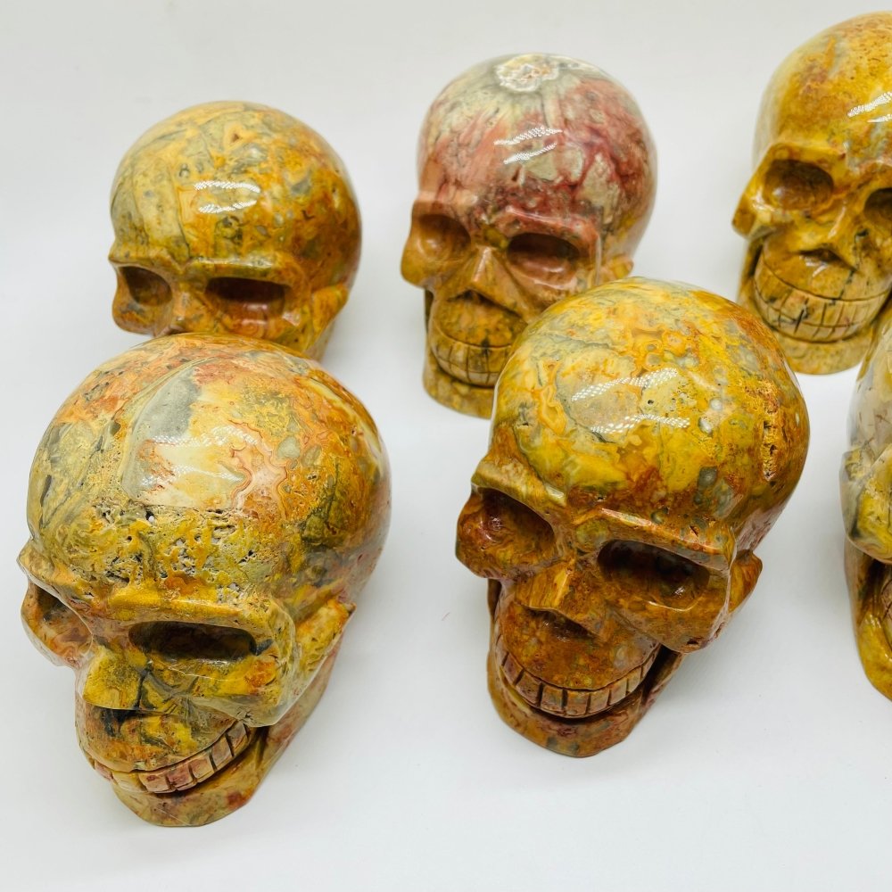 6 Pieces Crazy Agate Large Skull Carving -Wholesale Crystals
