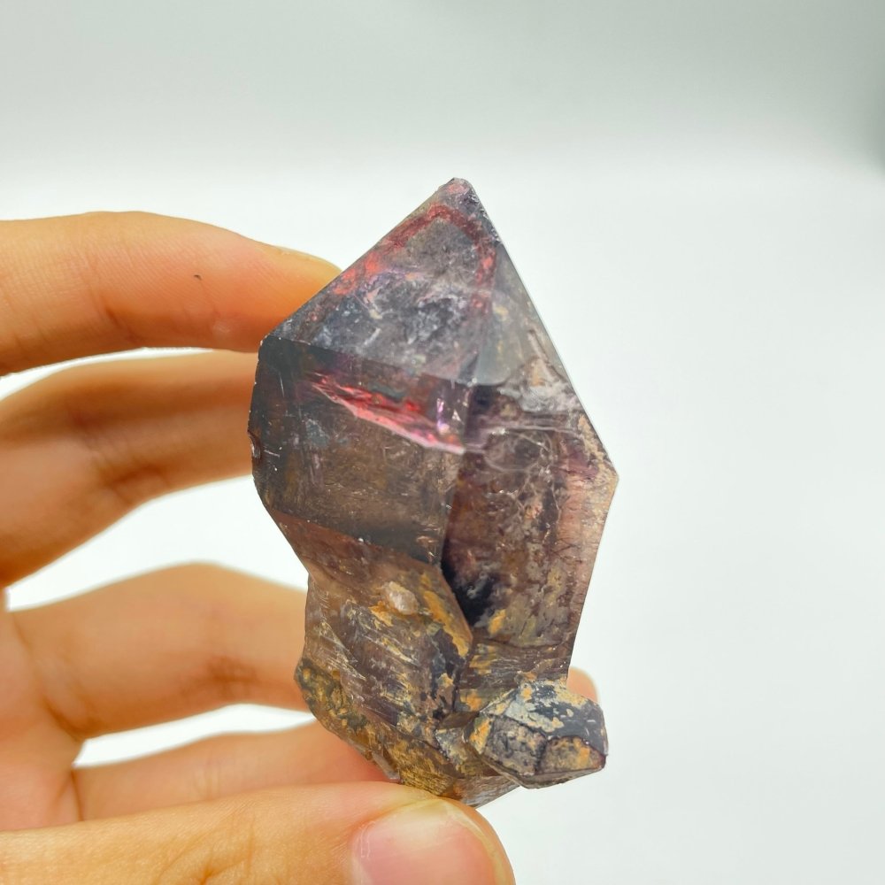 A10 Scepter Super7 Amethyst Enhydro Crystal -Wholesale Crystals