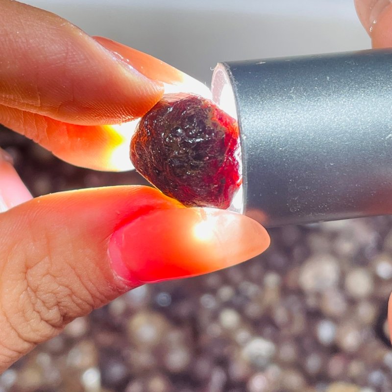 Garnet Rough Mineral Specimen -Wholesale Crystals