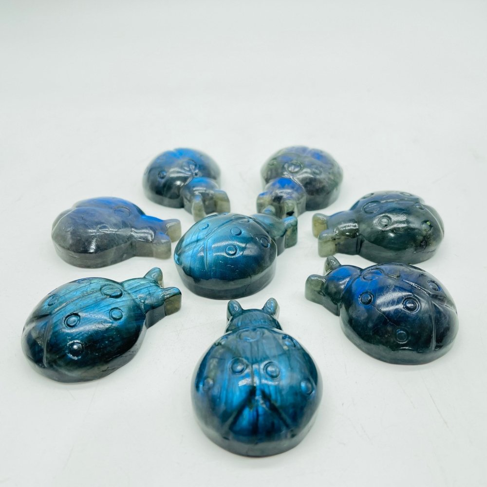 High Quality Labradorite Ladybug Carving Wholesale -Wholesale Crystals