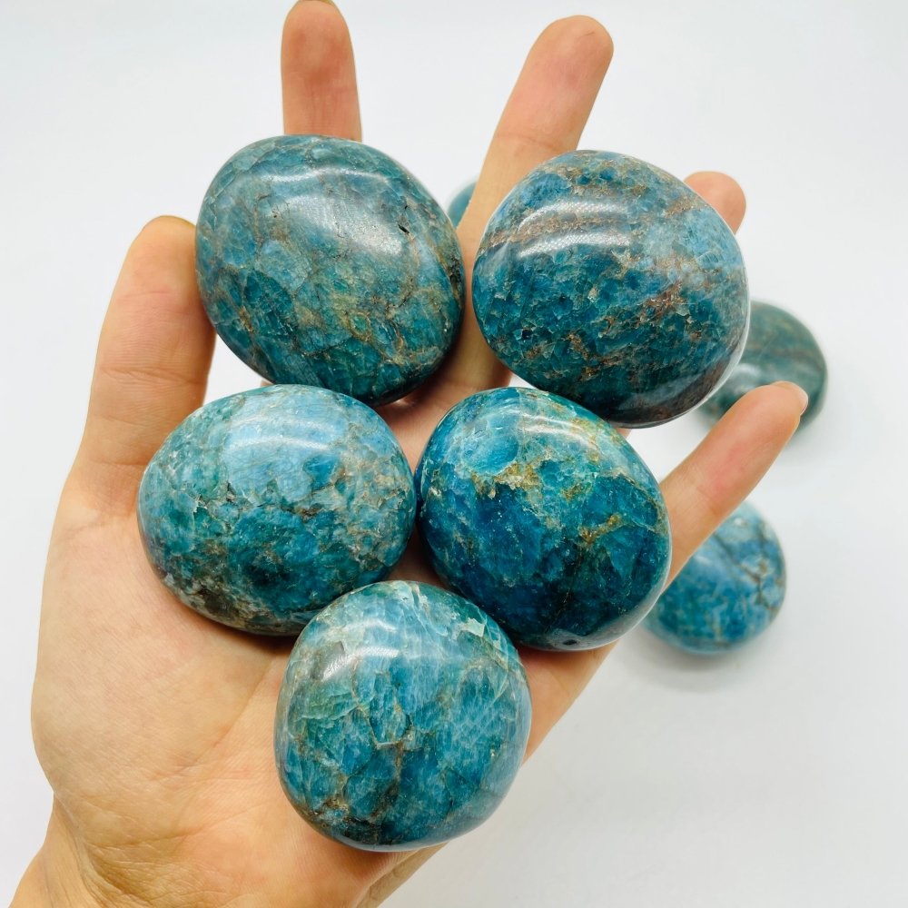 Large Apatite Palm Wholesale -Wholesale Crystals