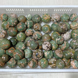 61 Pieces Rainforest Jasper Spheres (Sea Freight Only)