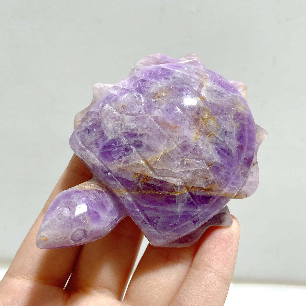 10 Pieces Amethyst Mixed Agate Turtle Carving