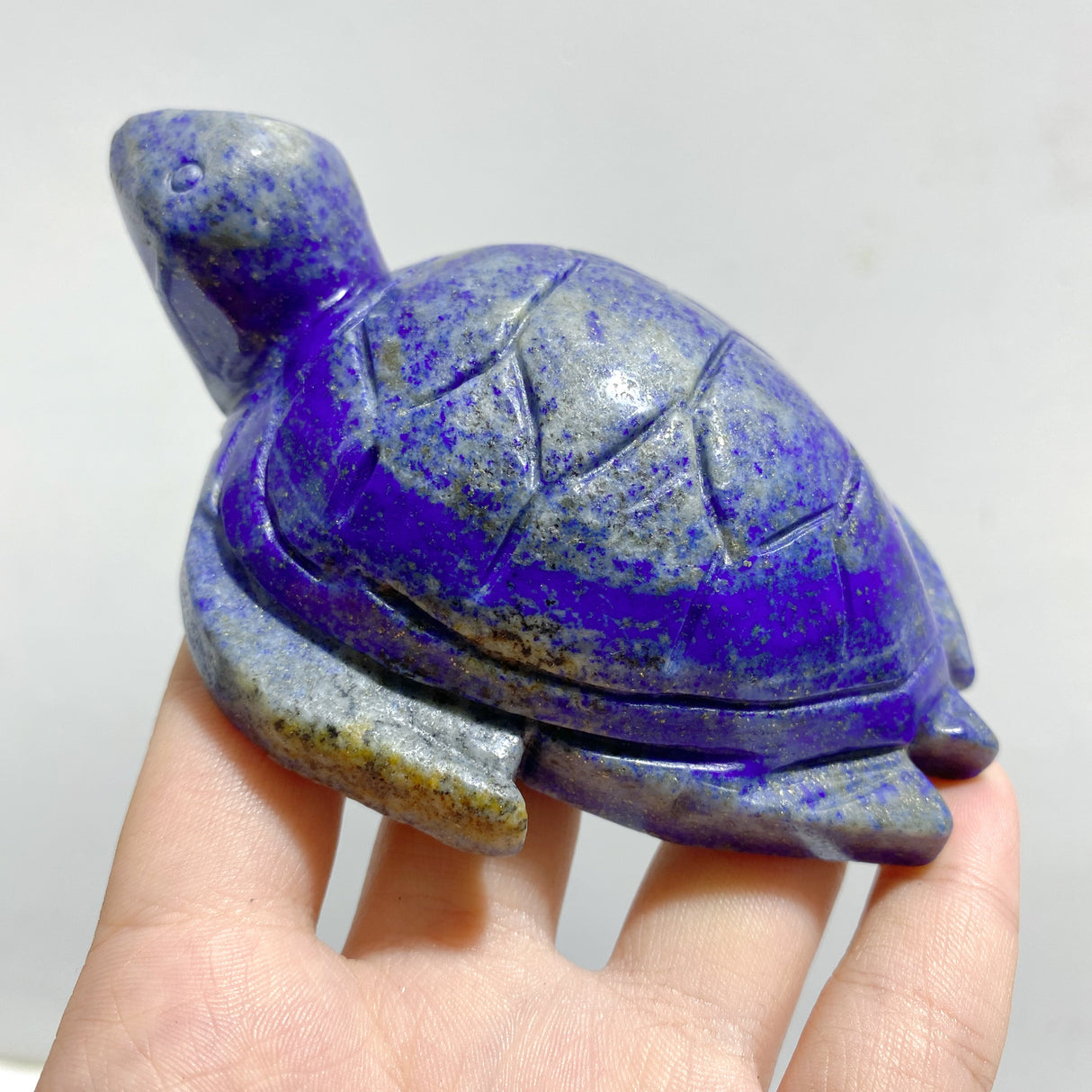 9 Pieces Lapis Lazuli Sea Turtles Carving