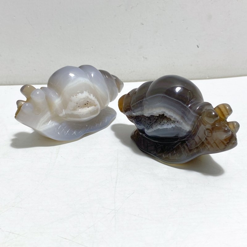 10 Pieces Geode Druzy Agate Snail Carving -Wholesale Crystals