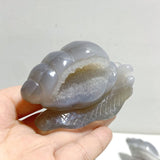 10 Pieces Geode Druzy Agate Snail Carving -Wholesale Crystals