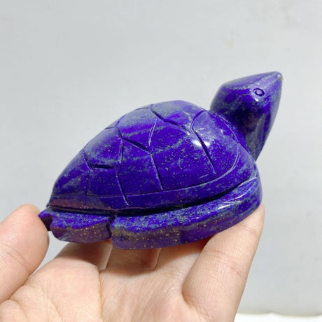 10 Pieces Lapis Lazuli Sea Turtles Carving -Wholesale Crystals