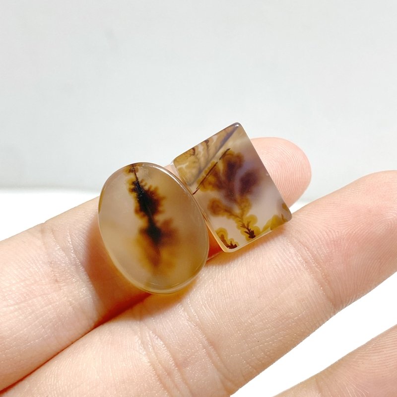 106 Pieces Natural Scenic Dendritic Agate Cabochon - Wholesale Crystals