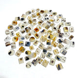 106 Pieces Natural Scenic Dendritic Agate Cabochon - Wholesale Crystals