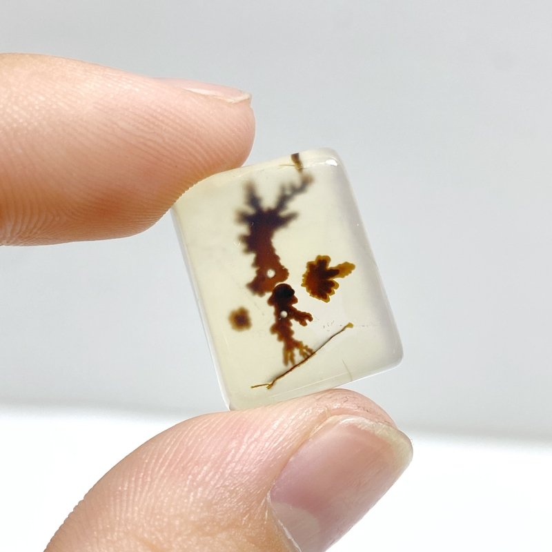 106 Pieces Natural Scenic Dendritic Agate Cabochon - Wholesale Crystals