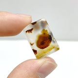 106 Pieces Natural Scenic Dendritic Agate Cabochon - Wholesale Crystals