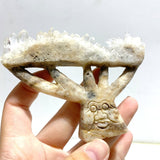 11 Pieces Cute Clear Quartz Cluster Animal Carving - Wholesale Crystals