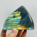 11 Pieces Large Beautiful Polished Labradorite Free Form -Wholesale Crystals
