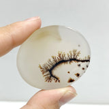 11 Pieces Natural Rare Scenic Dendritic Agate Stone - Wholesale Crystals