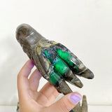 11 Pieces Volcanic Agate Dragon Head Carving Closeout(UV-Reactive) -Wholesale Crystals