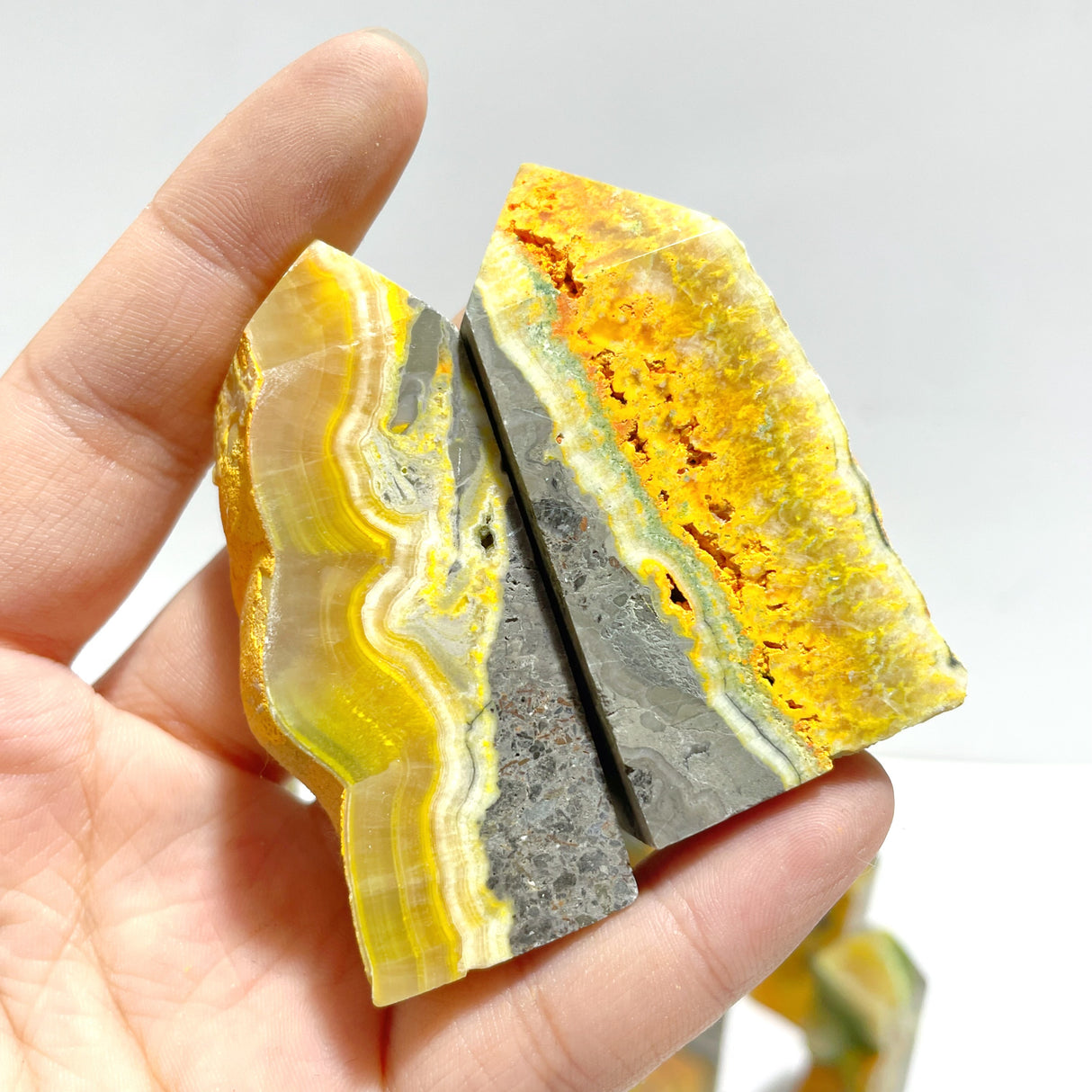 22 Pieces Deep Yellow Bumble Bee Jasper Raw Side Point