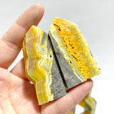 22 Pieces Deep Yellow Bumble Bee Jasper Raw Side Point