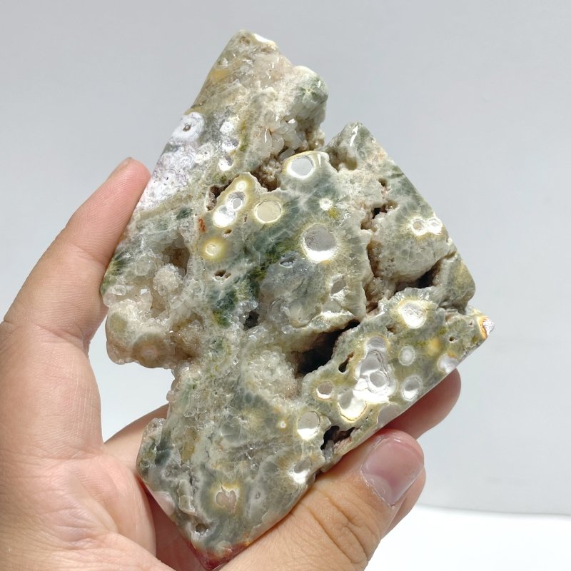 13 Pieces Big Circle 8th Vein Ocean Jasper Free Form - Wholesale Crystals