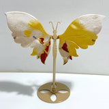 Unique Mookaite Butterfly Wing Carving With Stand
