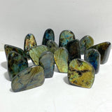 15 Pieces Labradorite Polished Free Form -Wholesale Crystals