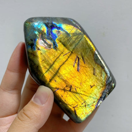 16 Pieces Labradorite Polished Free Form -Wholesale Crystals