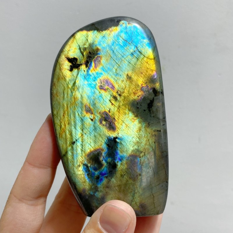 16 Pieces Labradorite Polished Free Form -Wholesale Crystals