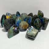 16 Pieces Labradorite Polished Free Form -Wholesale Crystals