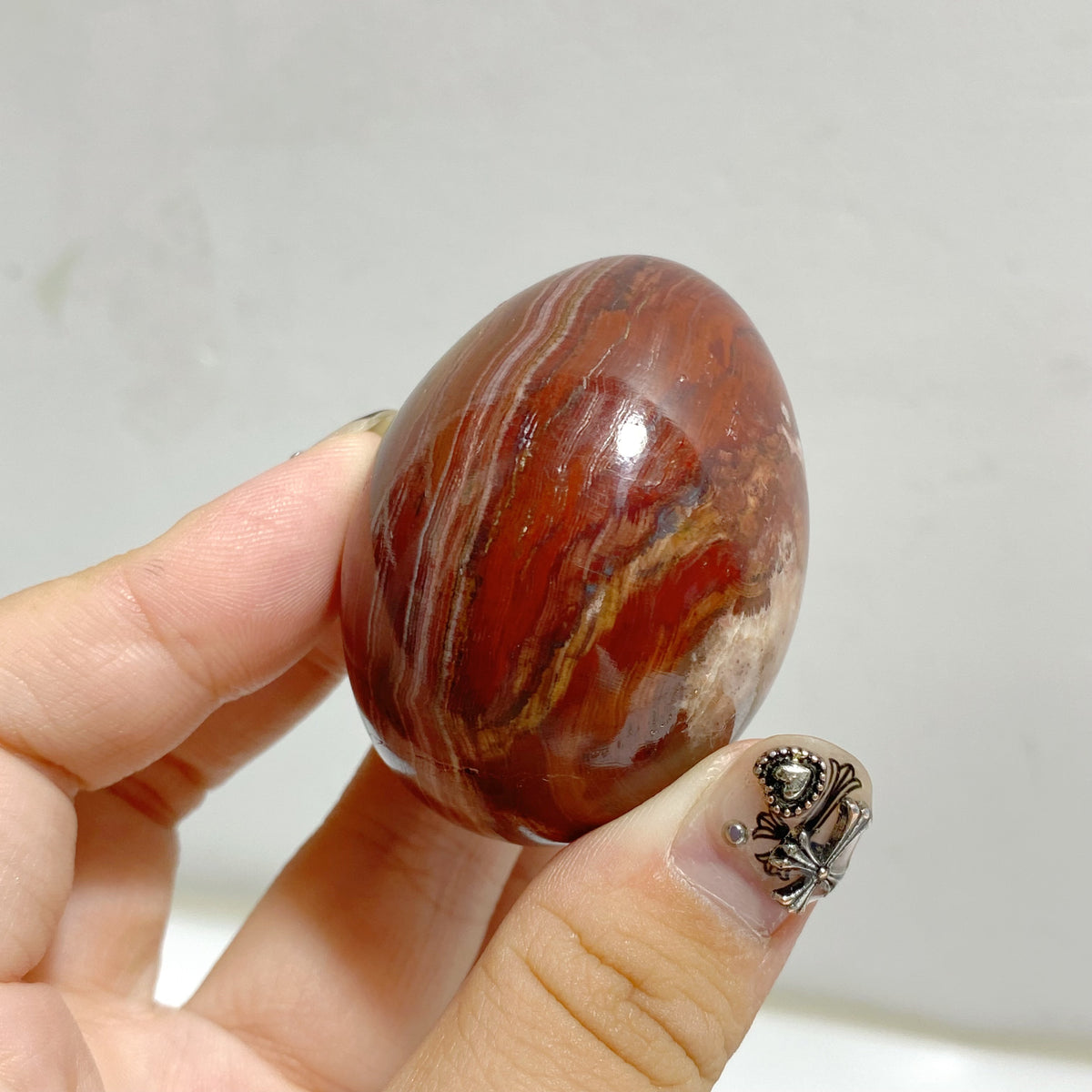 Petrified Wood Stone Egg Wholesale