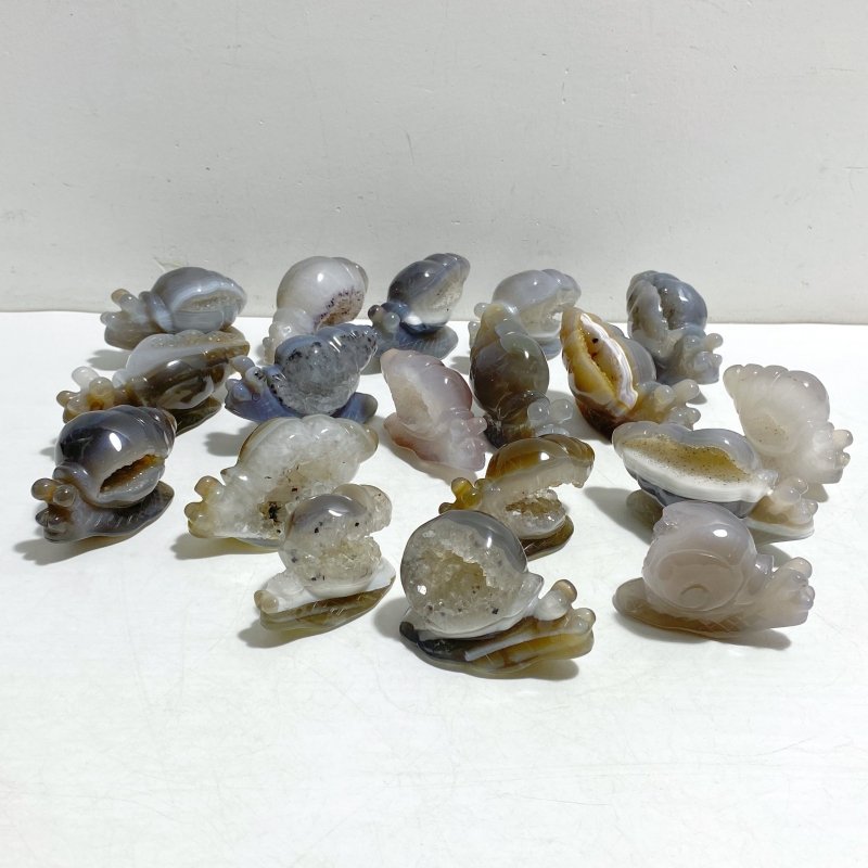 18 Pieces Geode Druzy Agate Snail Carving - Wholesale Crystals