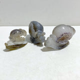 18 Pieces Geode Druzy Agate Snail Carving - Wholesale Crystals