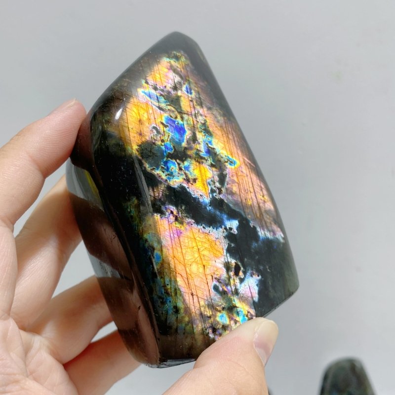 19 Pieces Beautiful Polished Labradorite Free Form -Wholesale Crystals