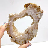 19 Pieces Sakura Flower Agate Slab - Wholesale Crystals