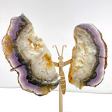 2 Pairs Fluorite Mixed Pyrite Butterfly Wing With Stand 4 - Wholesale Crystals