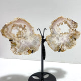2 Pairs Geode Druzy Sakura Flower Agate Butterfly Wing With Stand - Wholesale Crystals