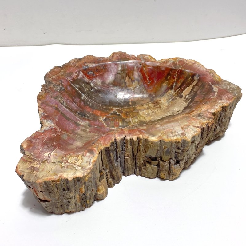 2 Pieces Large Petrified Wood Bowl - Wholesale Crystals