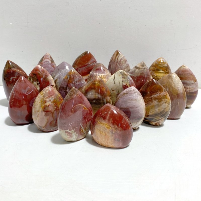 20 Pieces Petrified Wood Stone Arrow Head Shape -Wholesale Crystals