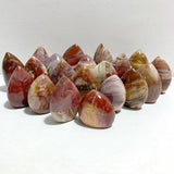 20 Pieces Petrified Wood Stone Arrow Head Shape -Wholesale Crystals