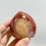 20 Pieces Petrified Wood Stone Arrow Head Shape -Wholesale Crystals