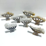 7 Pieces Clear Quartz Cluster Dendroid Guard Carving