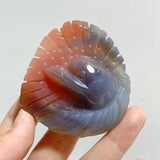 23 Pieces Africa Red Agate Sea Animals Carving -Wholesale Crystals