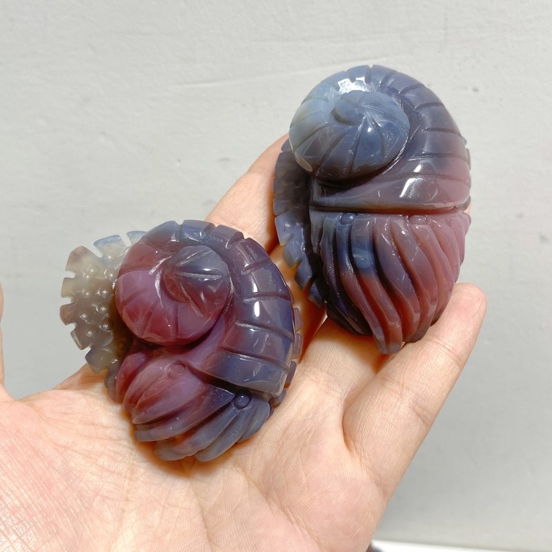 23 Pieces Africa Red Agate Sea Animals Carving -Wholesale Crystals
