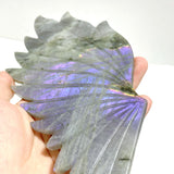 Labradorite Angel Wing Carving With Stand
