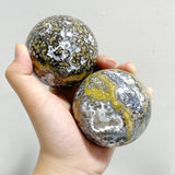 11 Pieces Beautiful Geode Druzy 8th Vein Ocean Jasper Spheres