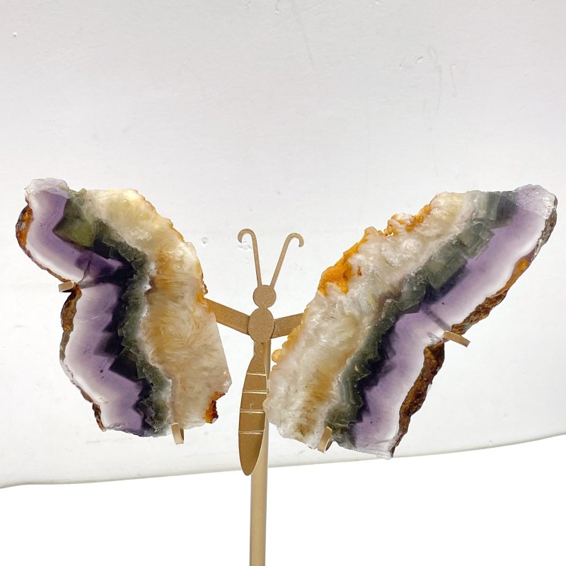 3 Pairs Fluorite Mixed Pyrite Butterfly Wing With Stand 5 - Wholesale Crystals