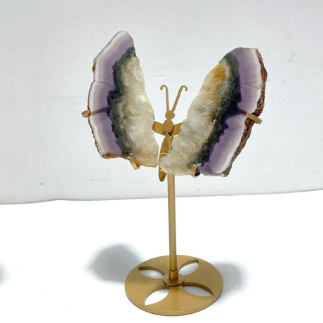 3 Pairs Fluorite Mixed Pyrite Butterfly Wing With Stand 6 - Wholesale Crystals