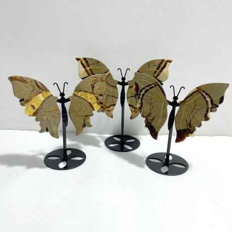 3 Pairs Septarian Butterfly Wing Carving With Stand 6 -Wholesale Crystals