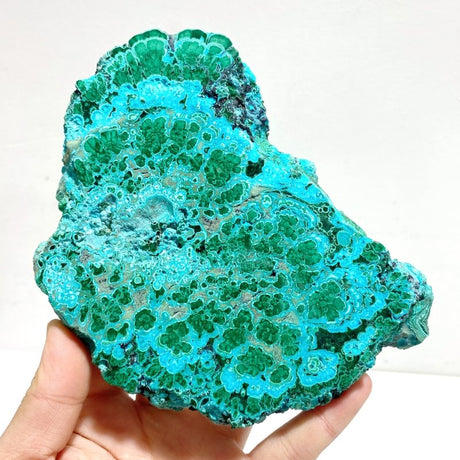 3 Pieces High Quality Beautiful Chrysocolla Mixed Malachite Slab Specimen 2 - Wholesale Crystals